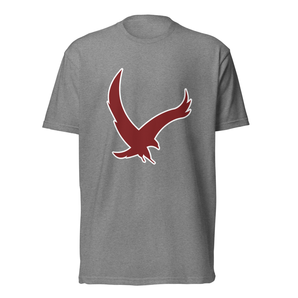 Layton Christian Academy Design 2 — Dark Heather Gray