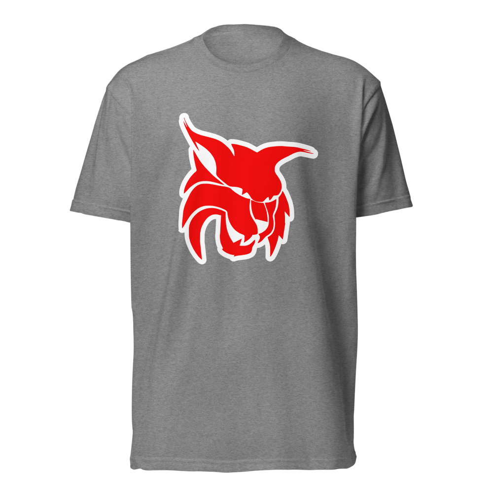 Lincoln County High School Design 2 — Dark Heather Gray