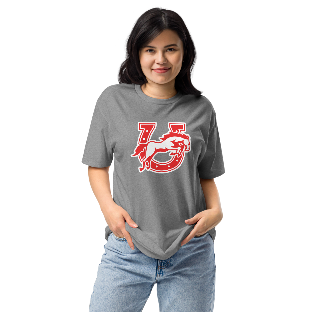 Earl Wooster High School Design 2 — Dark Heather Gray