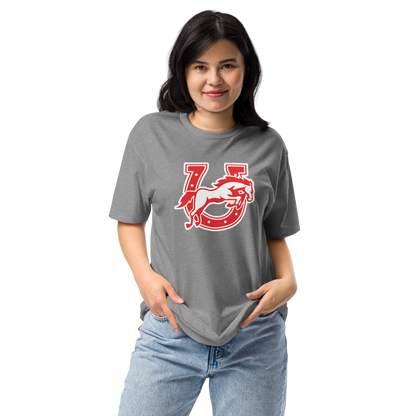 Earl Wooster High School Design 2 — Dark Heather Gray