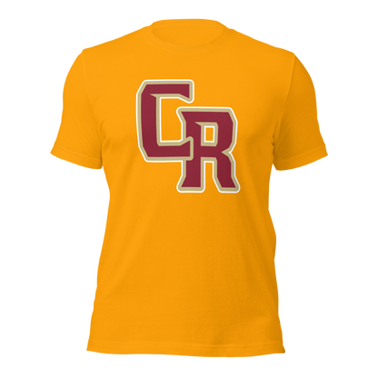 Cedar High School Design 2 — Gold