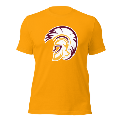 Pahrump Valley High School Design 2 — Gold