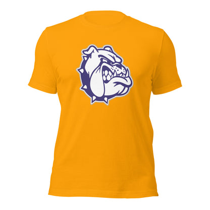 Sheffield High School Design 2 — Gold