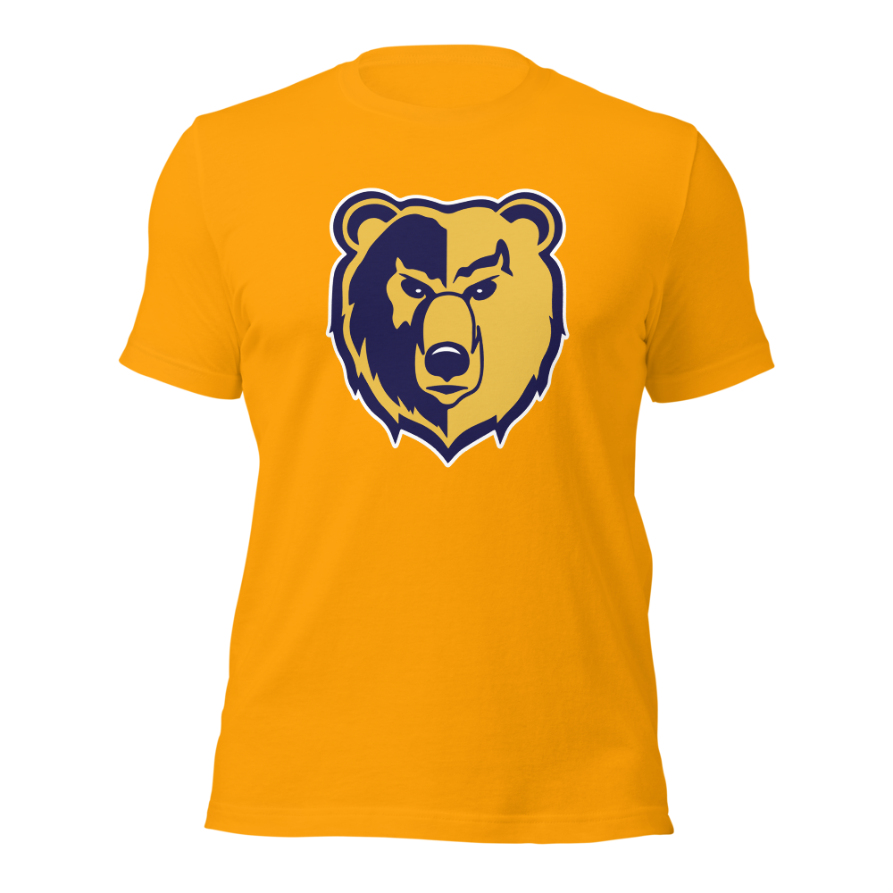 Summit Academy Design 2 — Gold