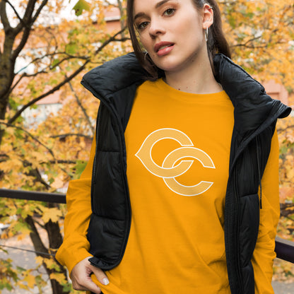 Cherokee County HIgh School Design 2 — Gold
