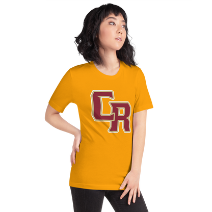 Cedar High School Design 2 — Gold