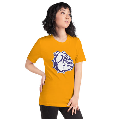 Sheffield High School Design 2 — Gold