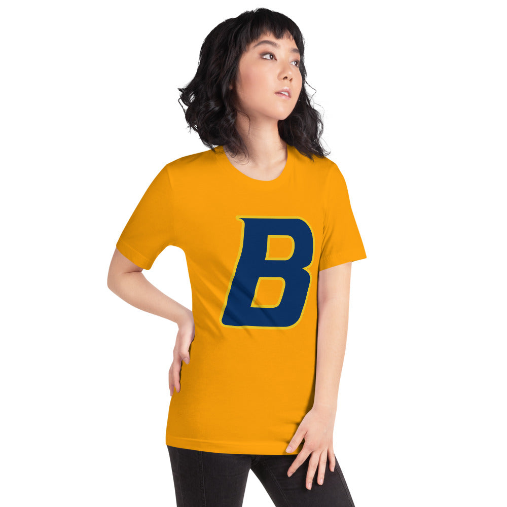 Buckhorn High School Design 2 — Gold