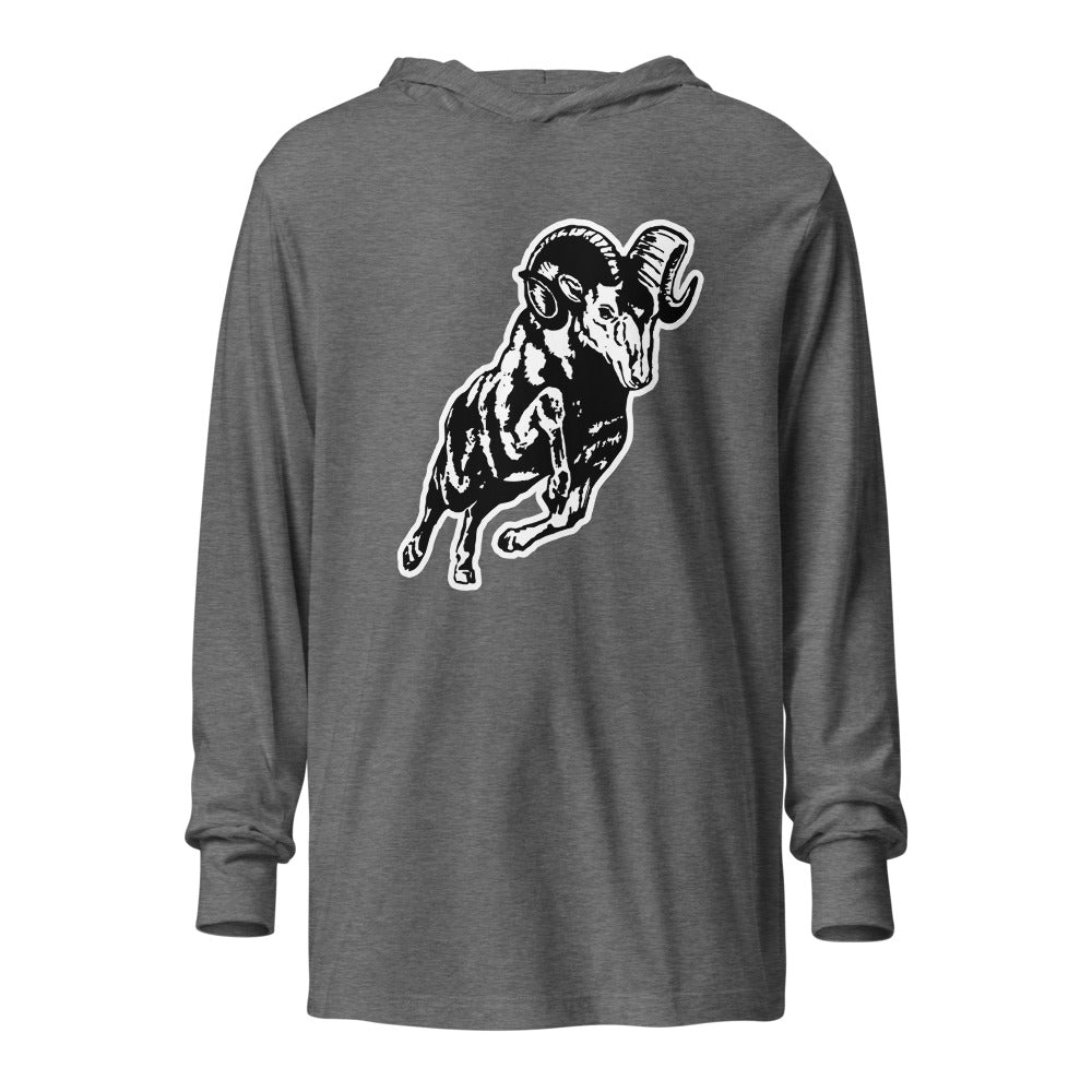 Radford High School Design 2 — Grey Triblend