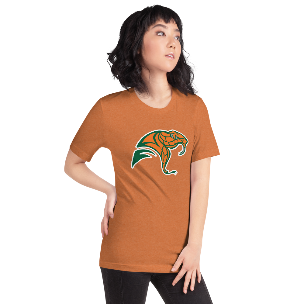 Mojave High School Design 2 — Heather Autumn