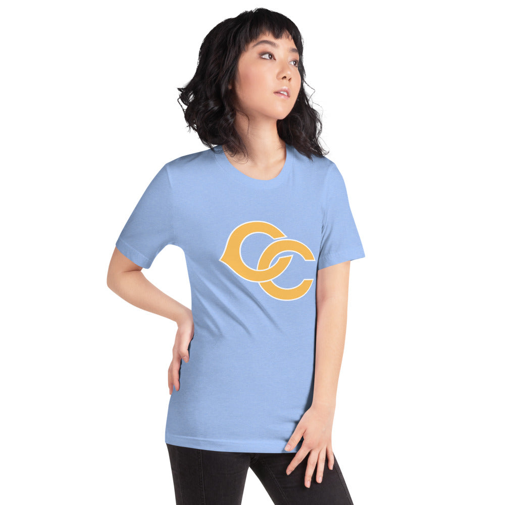 Cherokee County HIgh School Design 2 — Heather Carolina Blue
