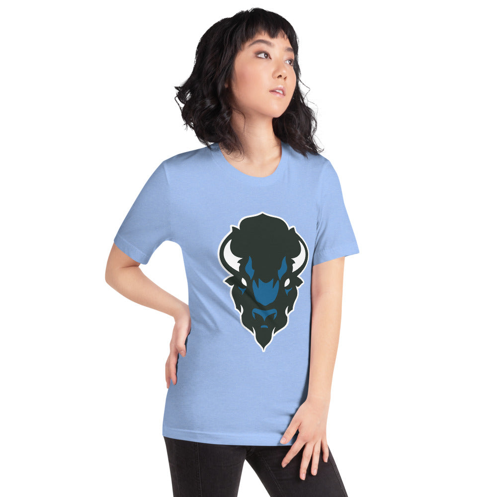 North Sand Mountain High School Design 2 — Heather Carolina Blue