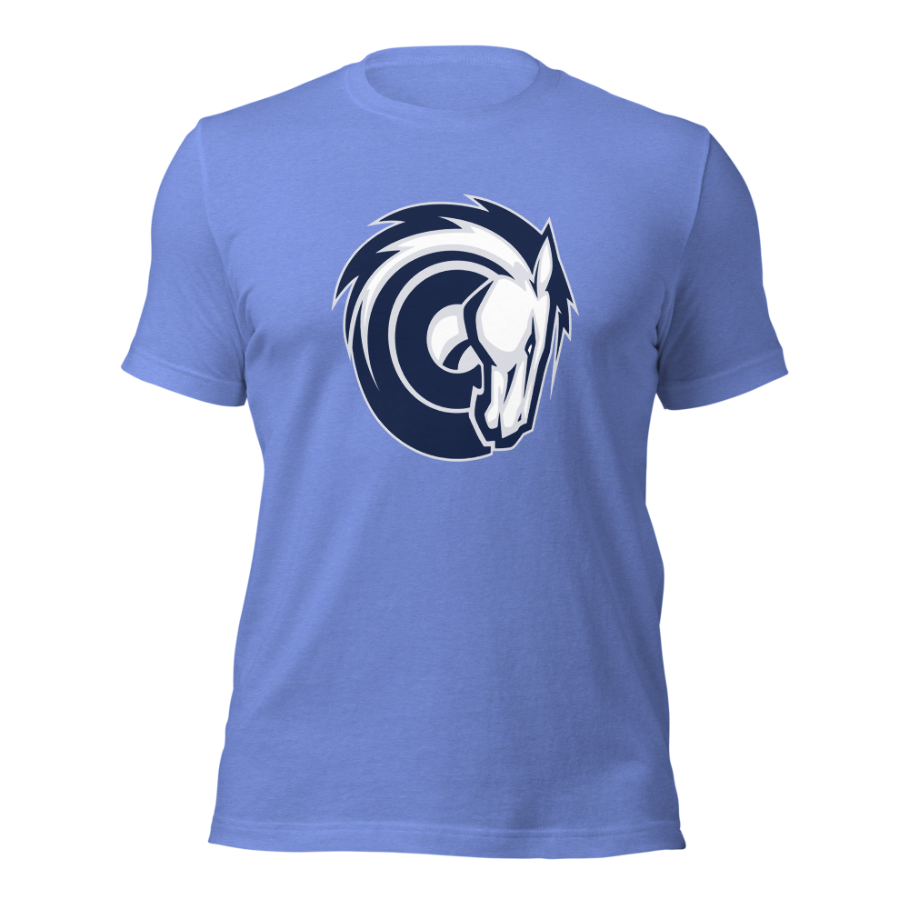 Corner Canyon High School Design 2 — Heather Columbia Blue