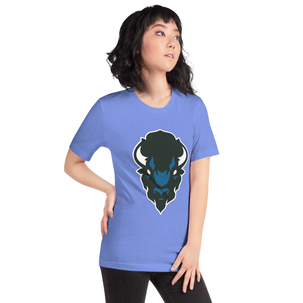 North Sand Mountain High School Design 2 — Heather Columbia Blue