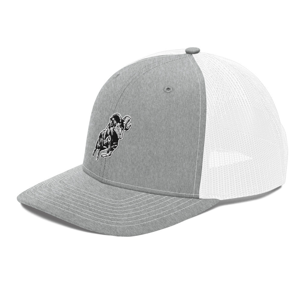 Radford High School Design 2 — Heather Grey/White