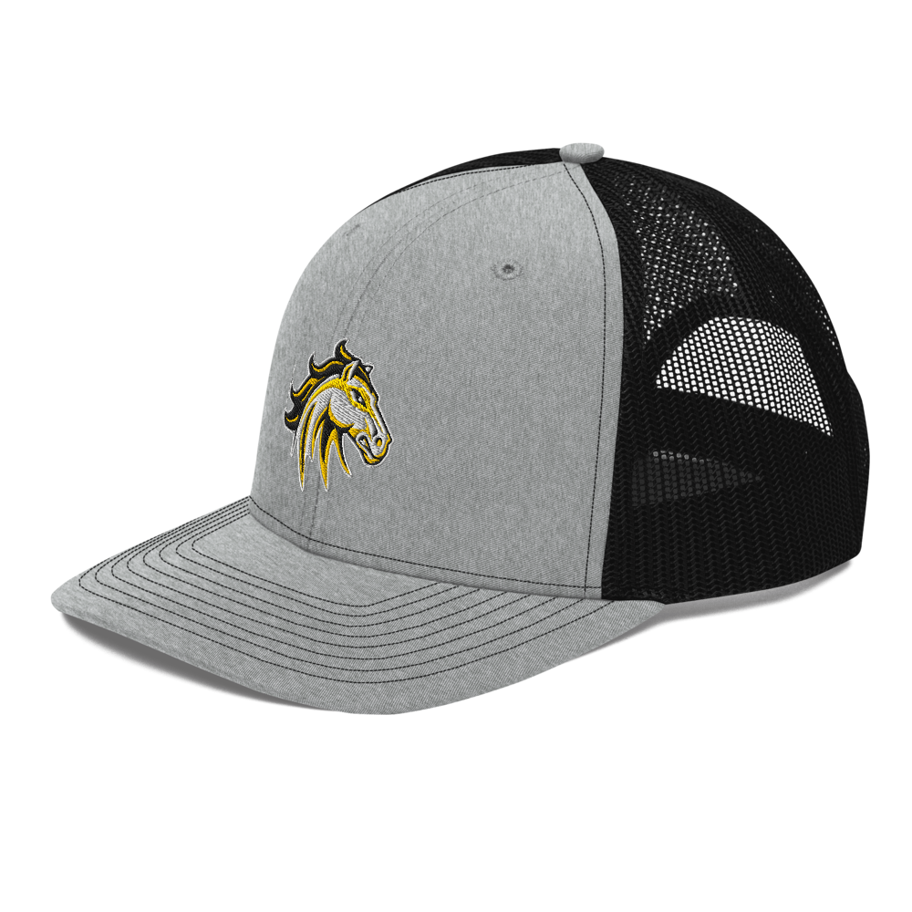 Cottonwood High School Design 2 — Heather Grey / Black