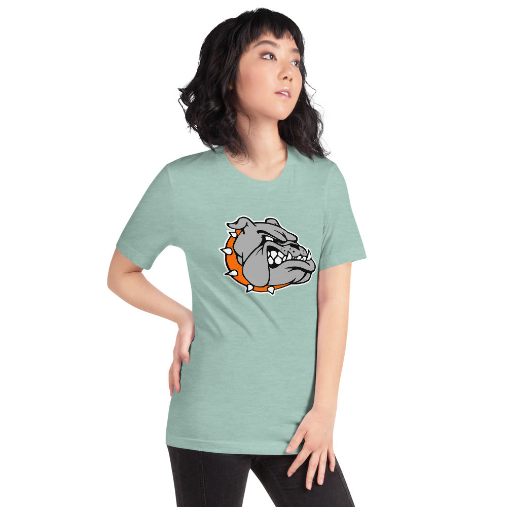 Ashville High School Design 2 — Heather Prism Dusty Blue