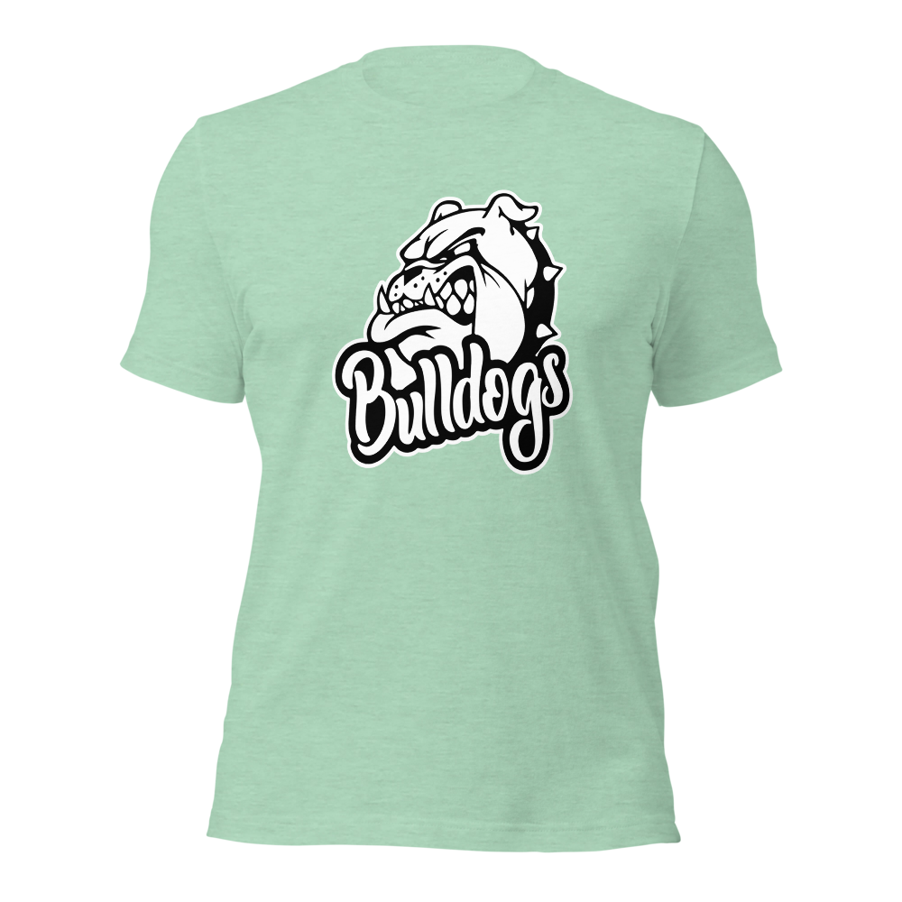 Provo High School Design 2 — Heather Prism Mint