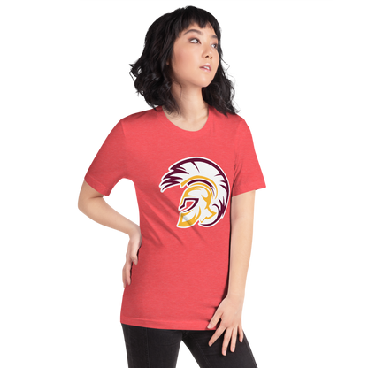 Pahrump Valley High School Design 2 — Heather Red