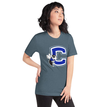 Chelsea HIgh School Design 2 — Heather Slate