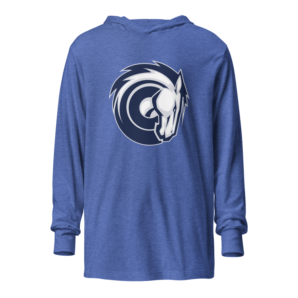 Corner Canyon High School Design 2 — Heather True Royal