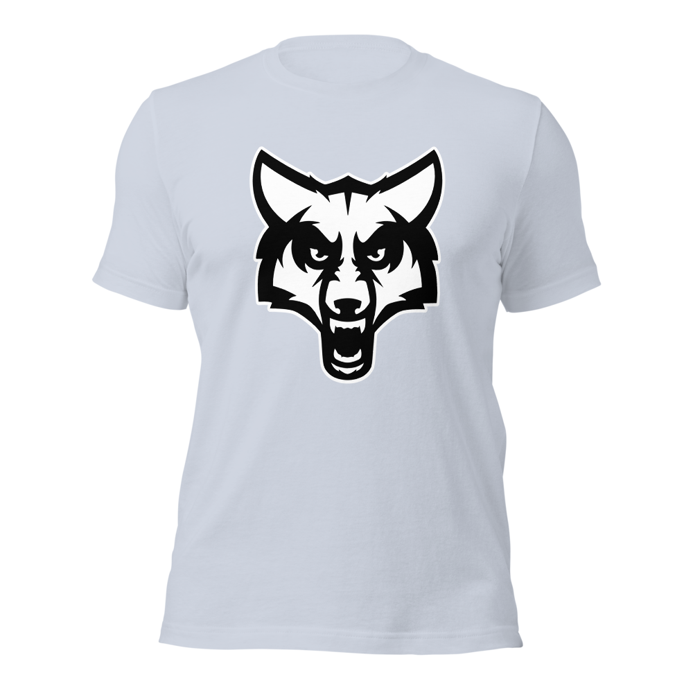 Timpanogos High School Design 2 — Light Blue