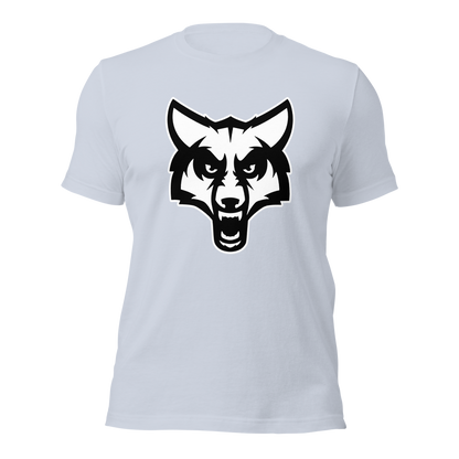 Timpanogos High School Design 2 — Light Blue