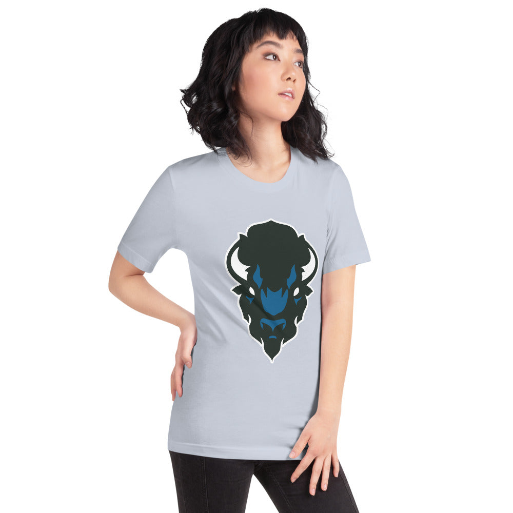 North Sand Mountain High School Design 2 — Light Blue