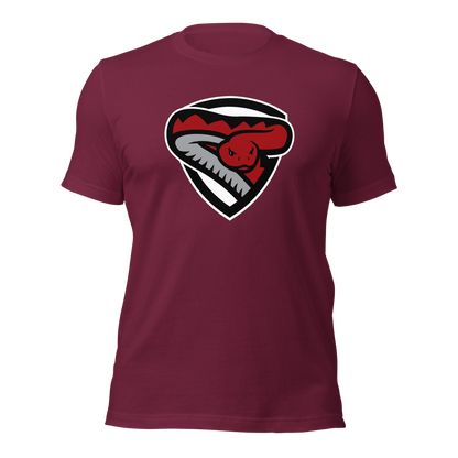 Desert Oasis High School Design 2 — Maroon