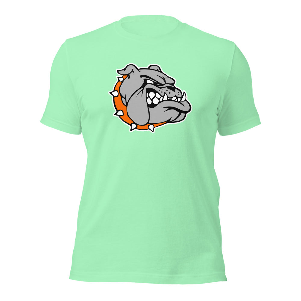 Ashville High School Design 2 — Mint