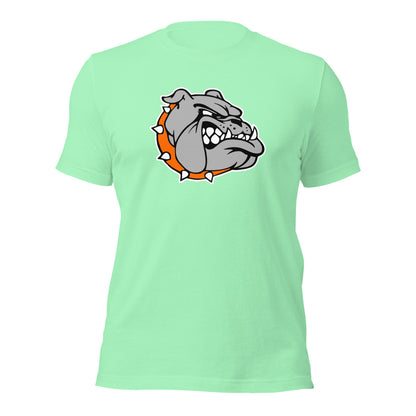 Ashville High School Design 2 — Mint