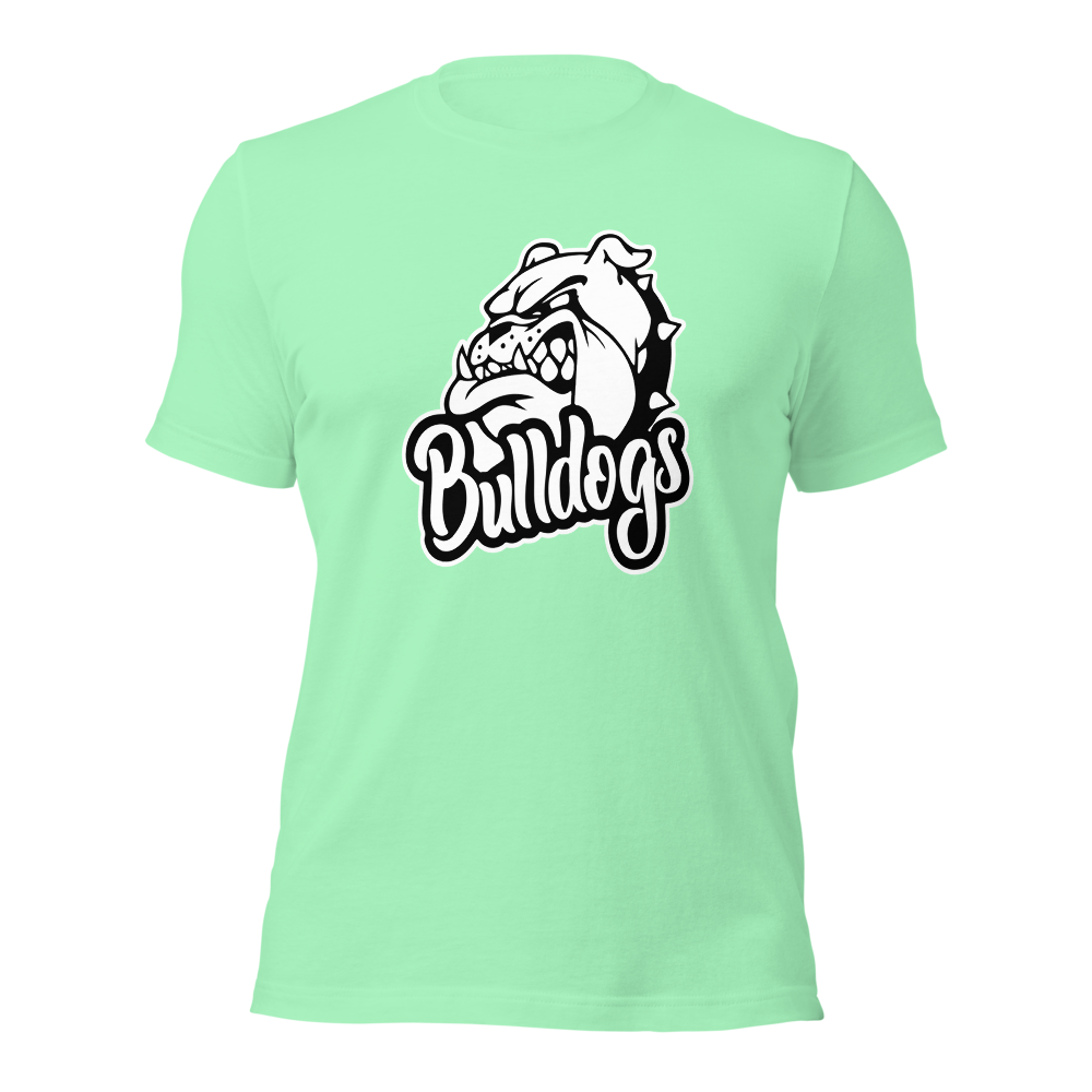 Provo High School Design 2 — Mint