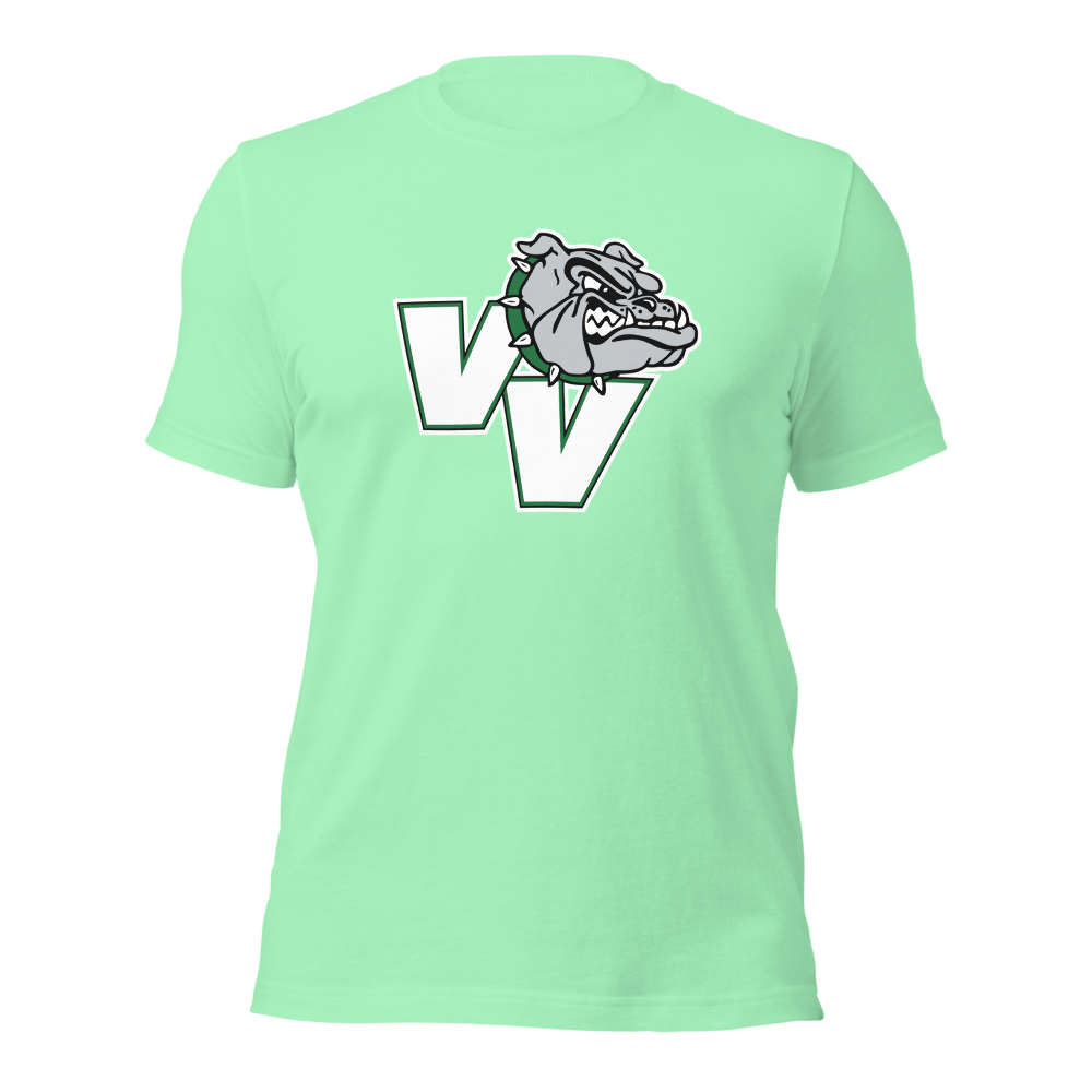 Virgin Valley High School Design 2 — Mint