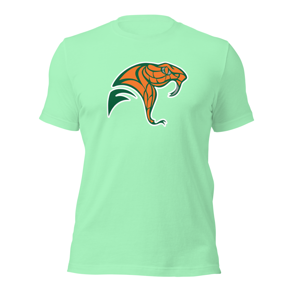 Mojave High School Design 2 — Mint