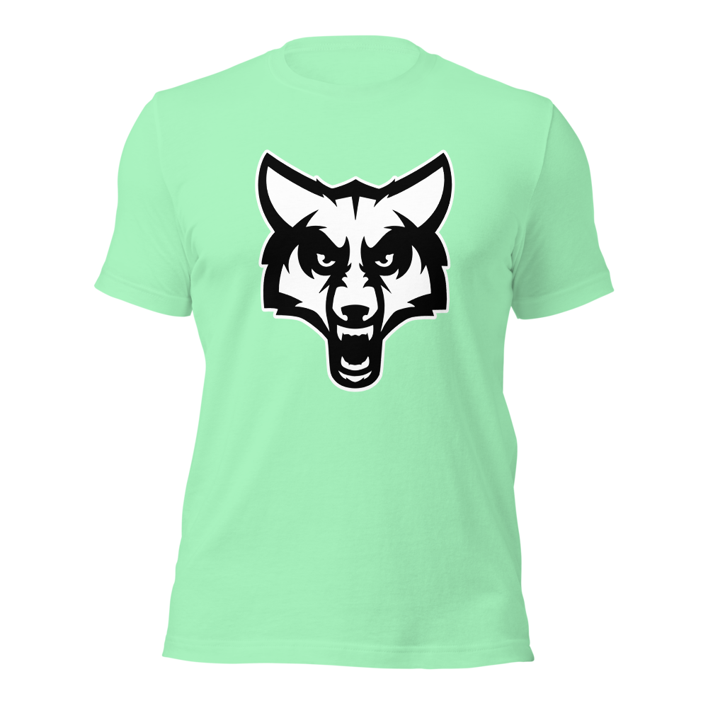 Timpanogos High School Design 2 — Mint