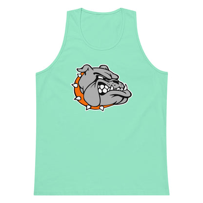 Ashville High School Design 2 — Mint