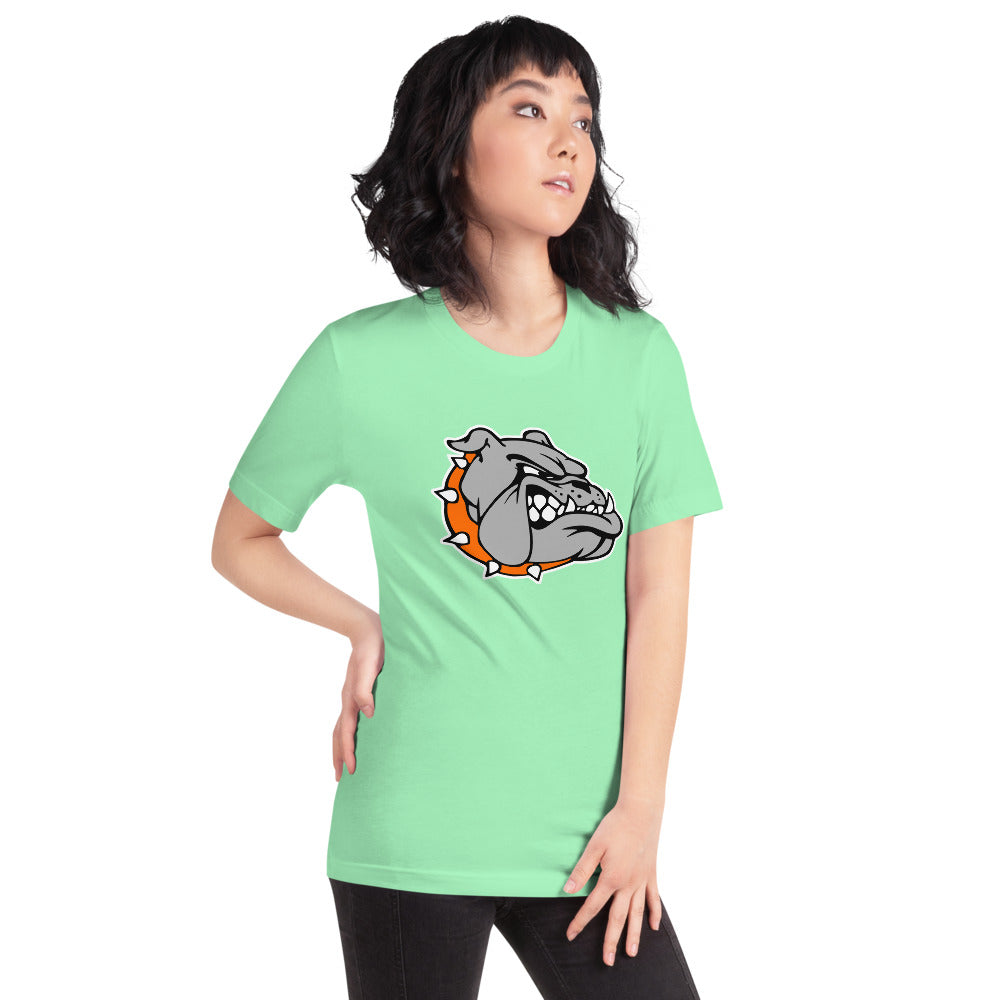 Ashville High School Design 2 — Mint