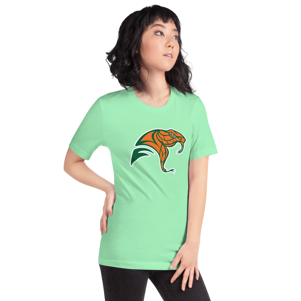 Mojave High School Design 2 — Mint