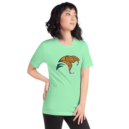 Mojave High School Design 2 — Mint