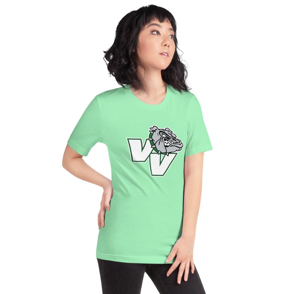 Virgin Valley High School Design 2 — Mint
