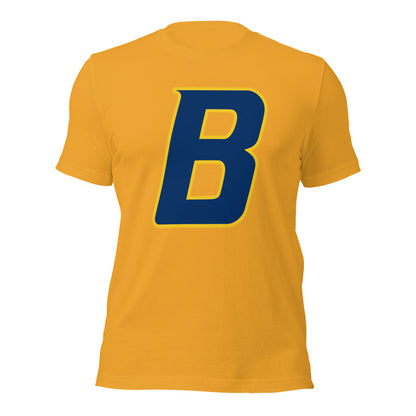 Buckhorn High School Design 2 — Mustard
