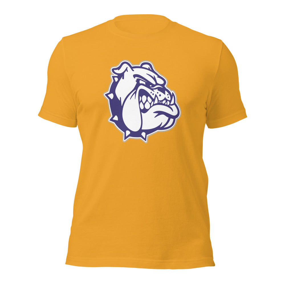Sheffield High School Design 2 — Mustard