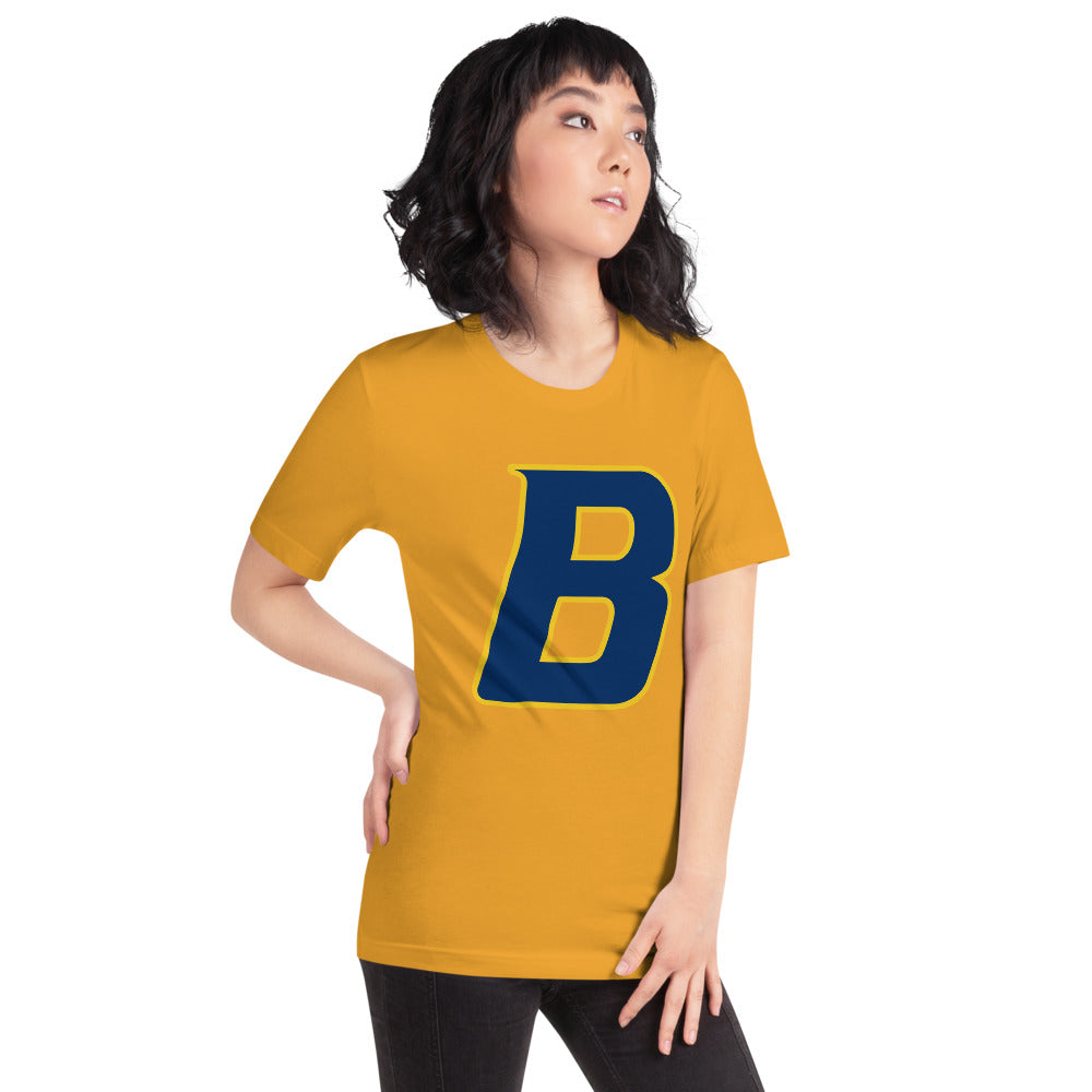 Buckhorn High School Design 2 — Mustard