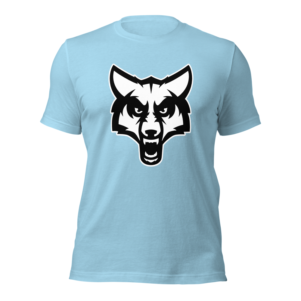 Timpanogos High School Design 2 — Ocean Blue