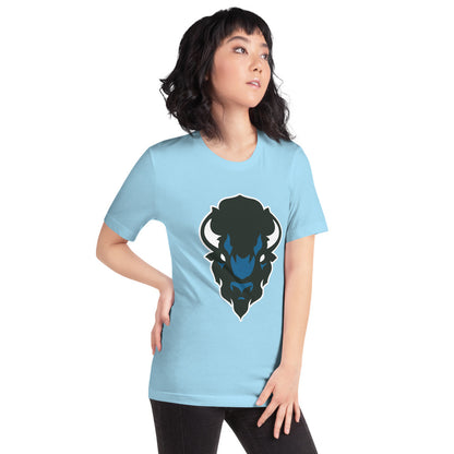 North Sand Mountain High School Design 2 — Ocean Blue