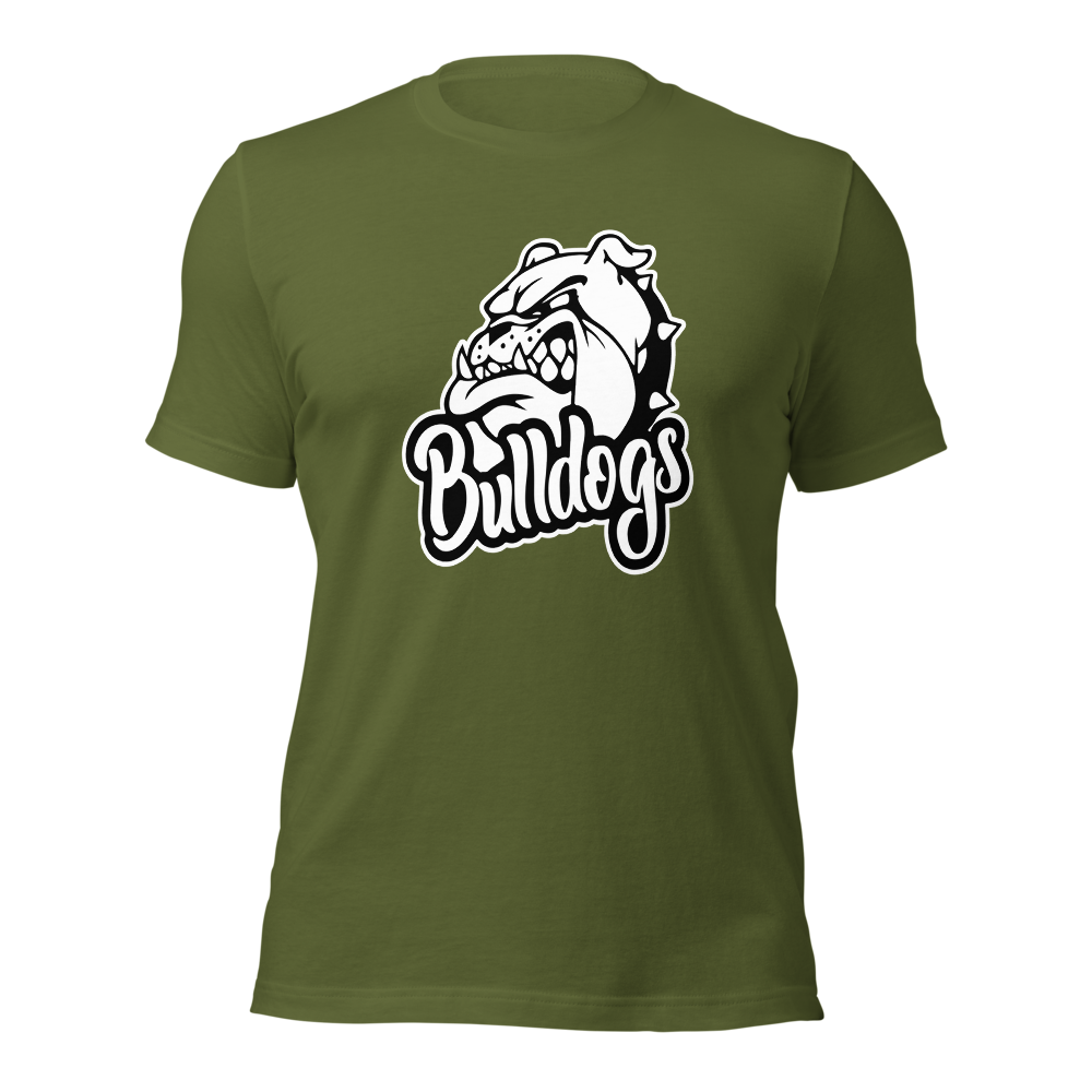 Provo High School Design 2 — Olive