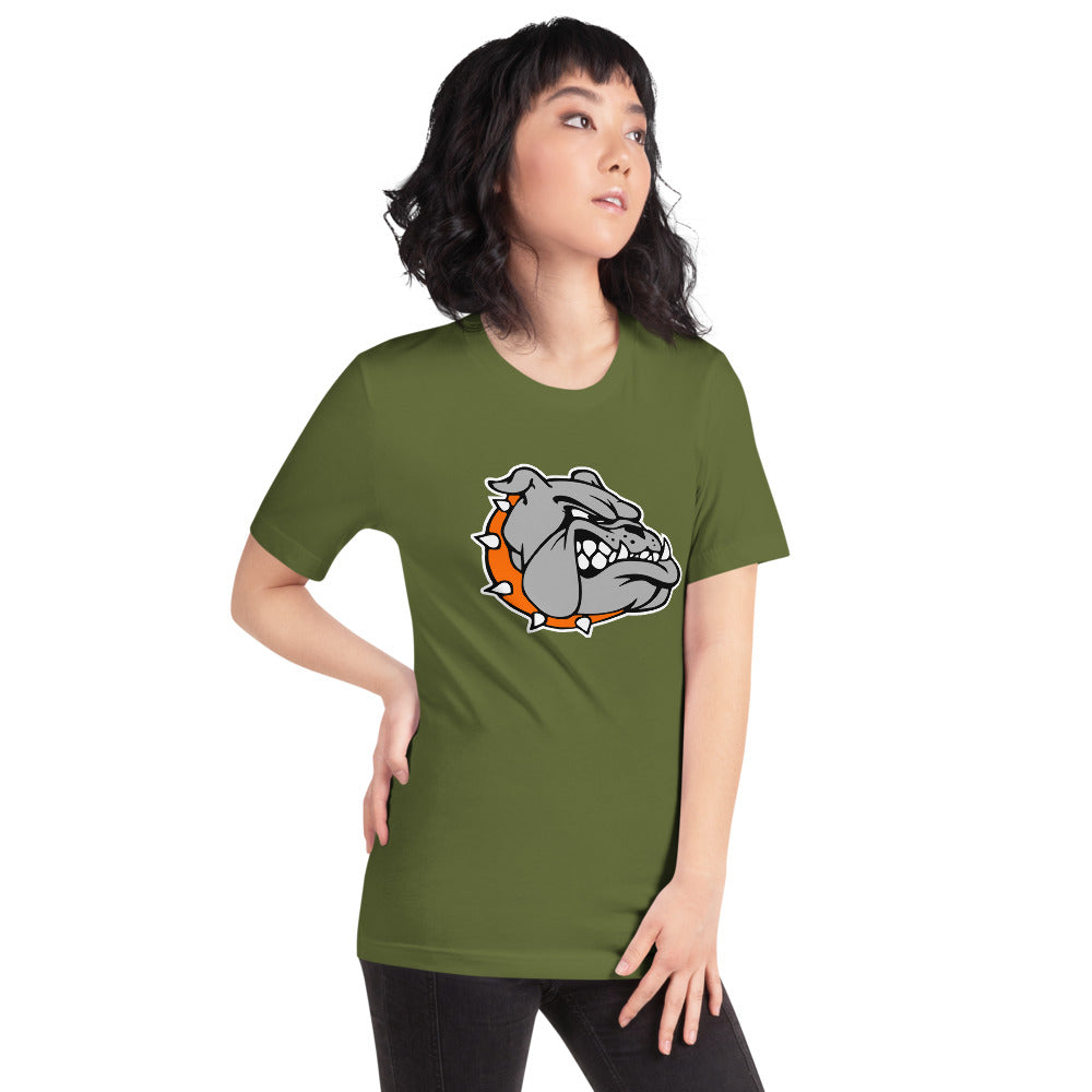 Ashville High School Design 2 — Olive