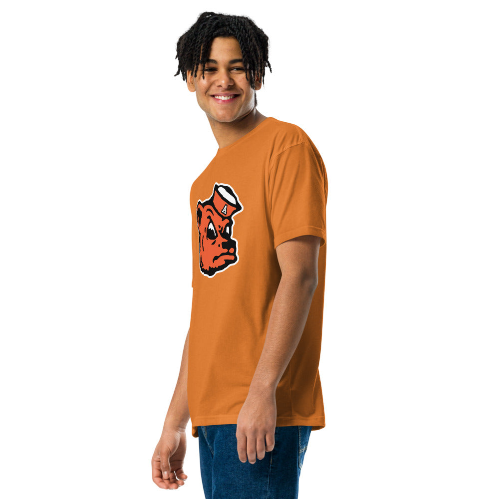 Alexandria High School Design 2 — Orange