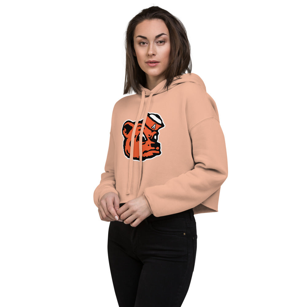 Alexandria High School Design 2 — Peach