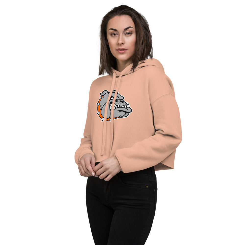 Ashville High School Design 2 — Peach